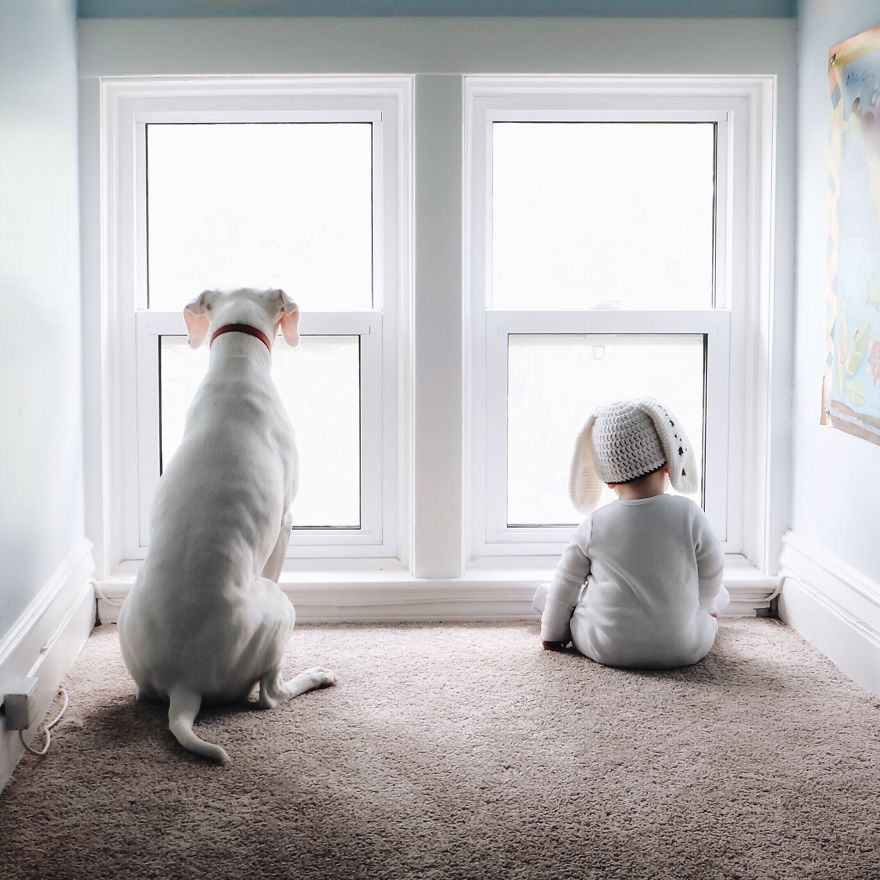 Ce bébé de 8 mois et cette chienne adorent faire la sieste ensemble... et ils sont trop mignons ! | So Busy Girls