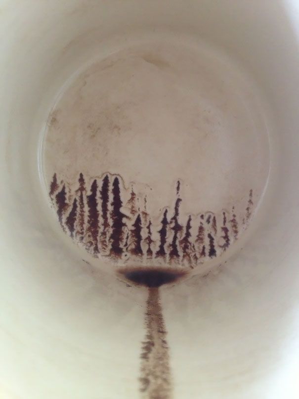 Un paysage de forêt apparu au fond d'une tasse de café, après la dernière gorgée | So Busy Girls