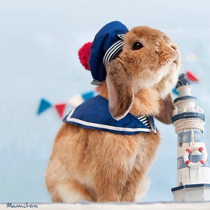 Découvrez PuiPui, le lapin le plus stylé du monde ! | So Busy Girls