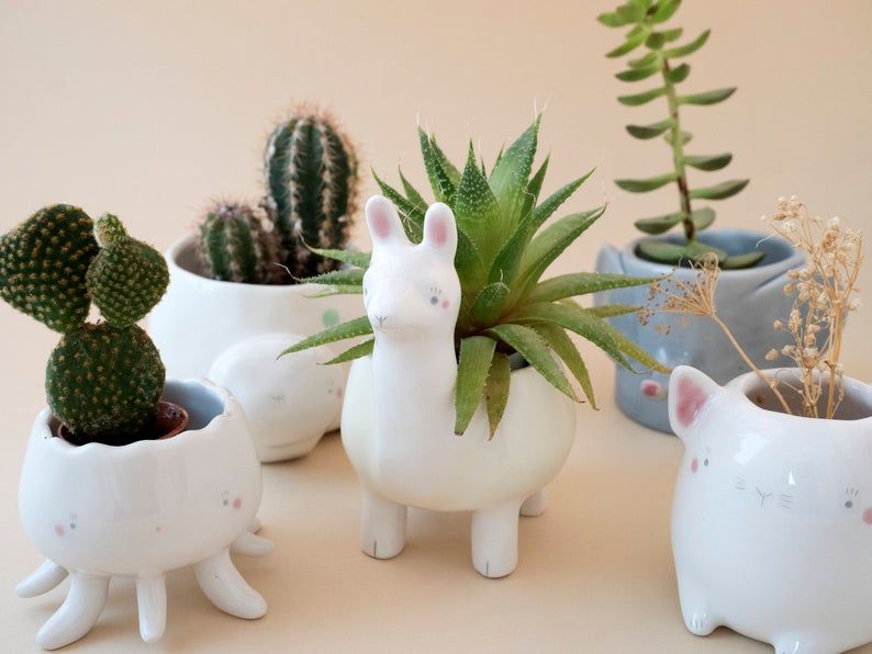 Elle crée des pots en céramique en forme d'animaux adorables et ça donne envie de mettre des plantes partout | So Busy Girls