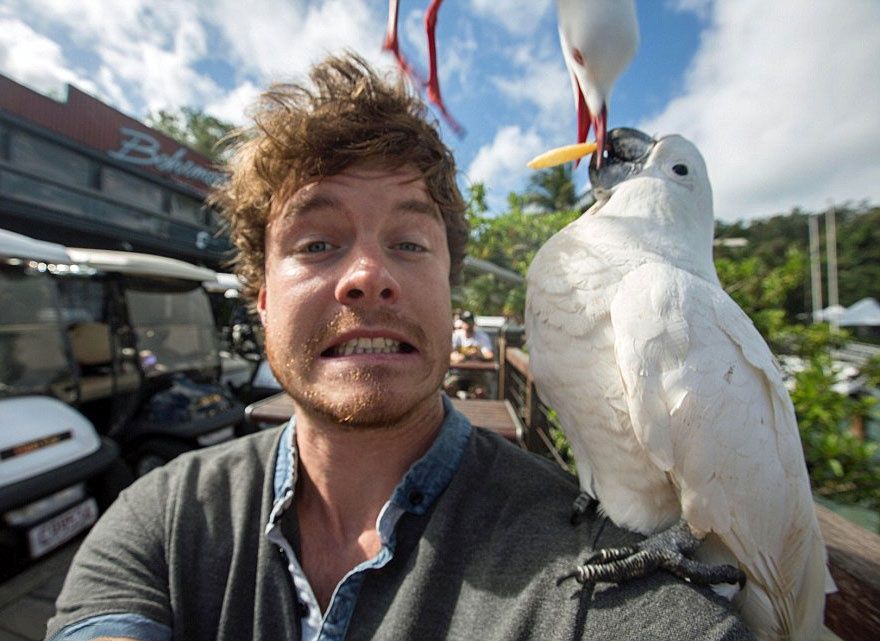 L'homme qui prenait des selfies géniaux avec des animaux | So Busy Girls