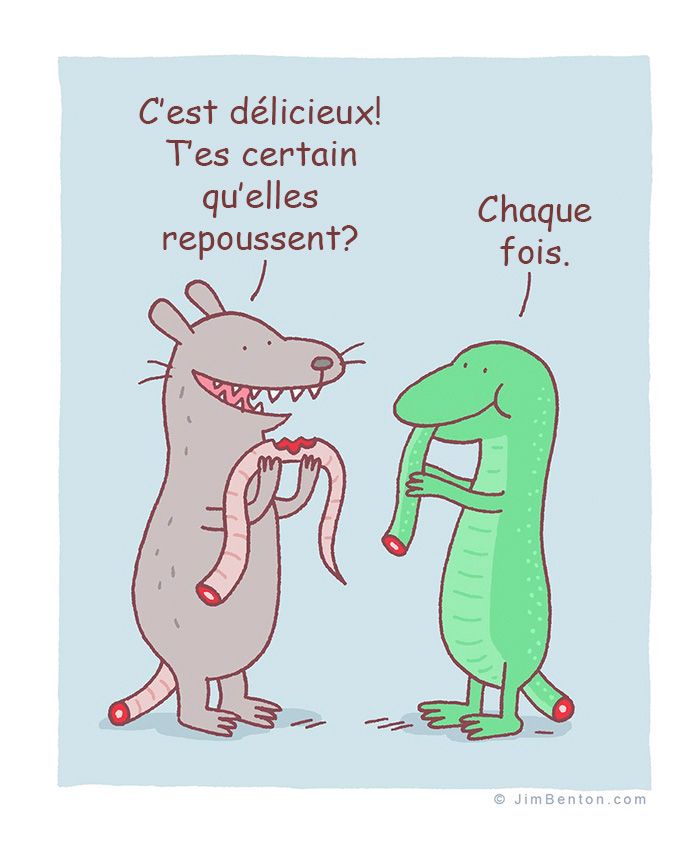 13 bandes dessinées amusantes sur les animaux | So Busy Girls