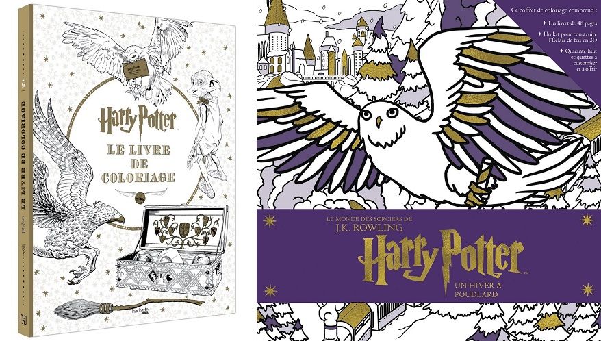9 livres de coloriages Harry Potter pour passer des soirées magiques | So Busy Girls