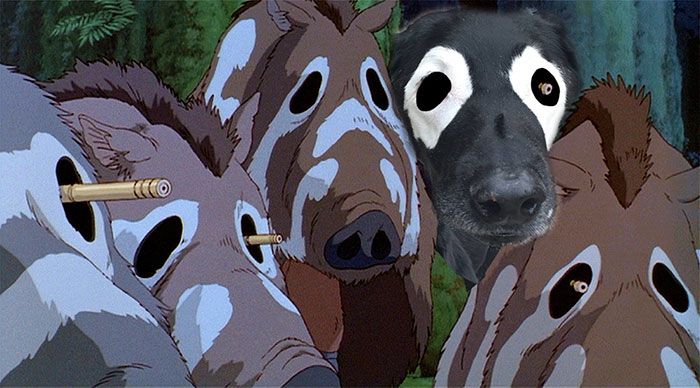 Princesse Mononoké version chien | So Busy Girls