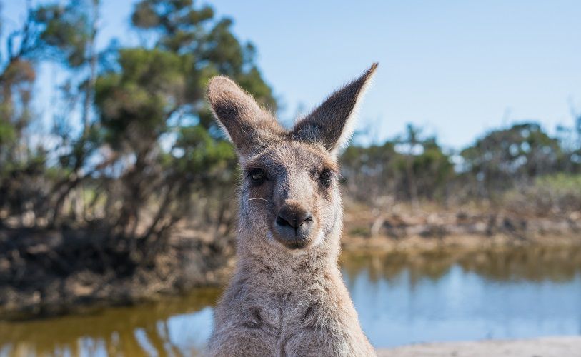 Tous les lieux incontournables à découvrir lors d'un séjour en Australie | So Busy Girls