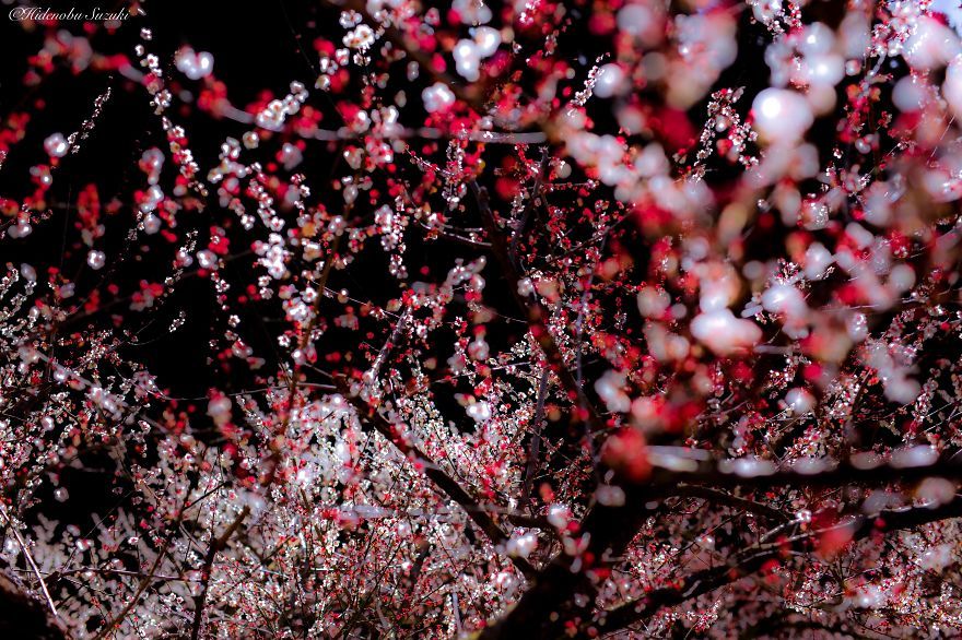 11 photos pour fêter l'arrivée du printemps | So Busy Girls