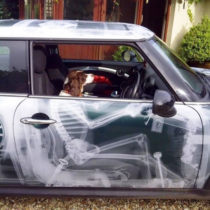 Les 19 propriétaires de voiture les plus créatifs de tous les temps | So Busy Girls