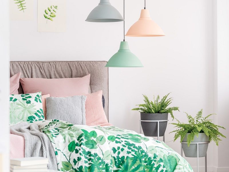 Les 5 meilleures plantes à mettre dans sa chambre | So Busy Girls