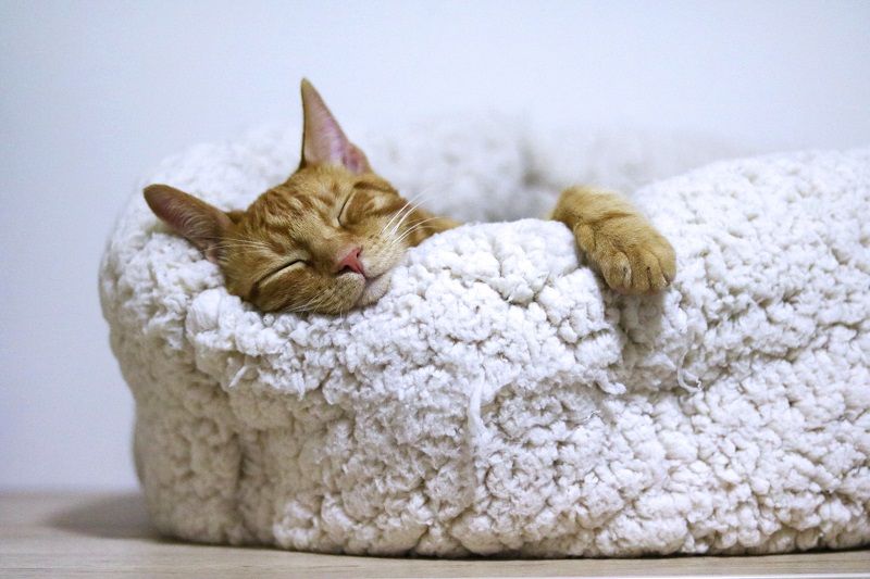 4 avantages d'utiliser un tapis d'acupression | So Busy Girls