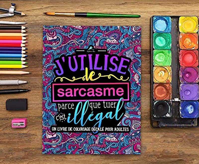 « J'utilise le sarcasme parce que tuer c'est illégal », le cahier de coloriages qui soulage bien | So Busy Girls