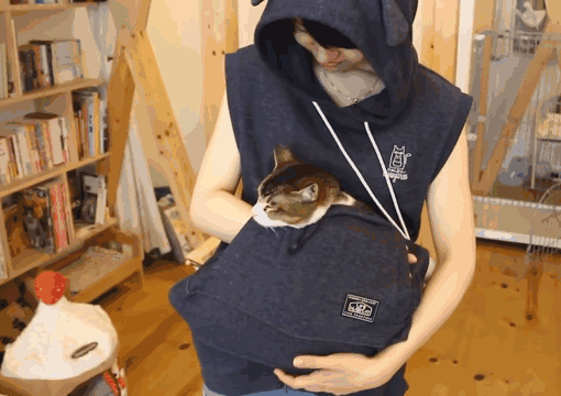 Des sweats poche kangourou qui vous permettent d'emmener votre chat partout avec vous | So Busy Girls