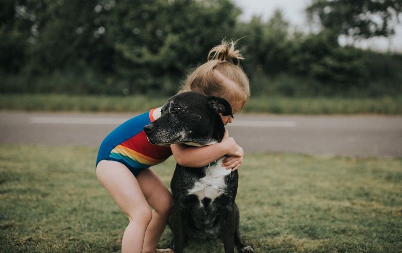 Les chiens ne peuvent pas s'empêcher d'aimer tout le monde, et c'est scientifiquement prouvé | So Busy Girls