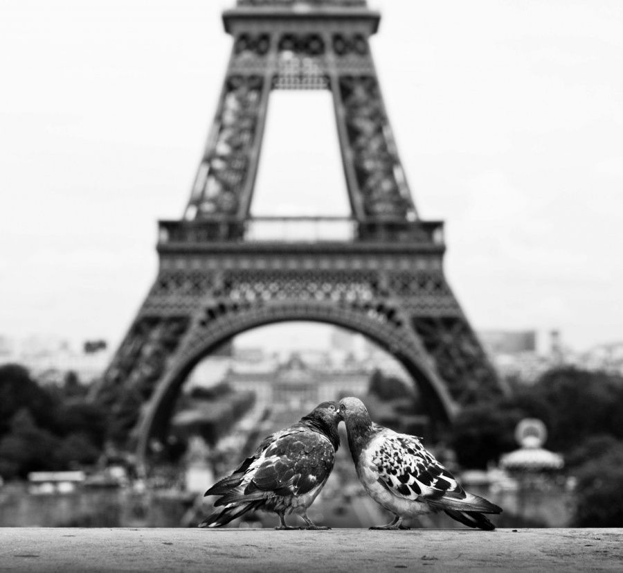 Paris, la capitale de l'amour ! | So Busy Girls
