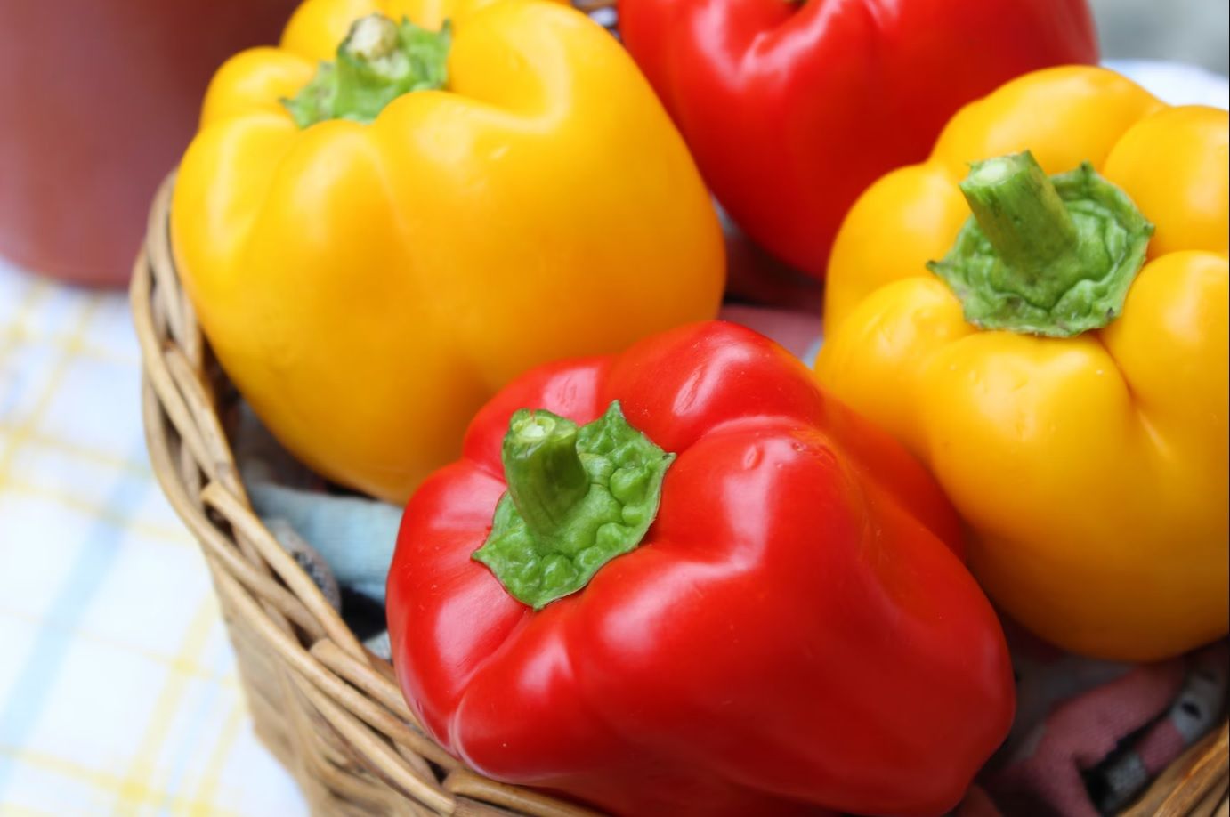 Quelle est la différence entre les couleurs de poivron ?