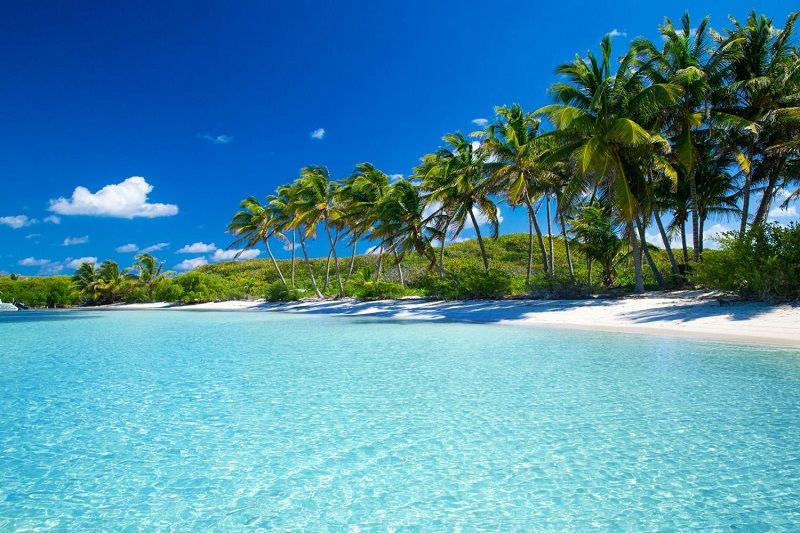 5 bonnes raisons de partir en vacances en Martinique | So Busy Girls