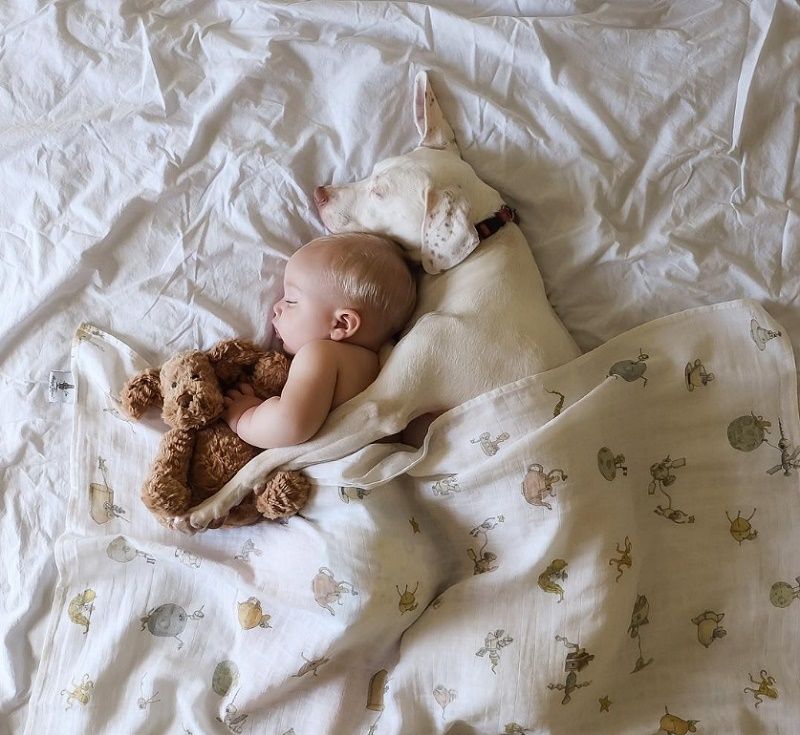 Ce bébé de 8 mois et cette chienne adorent faire la sieste ensemble... et ils sont trop mignons ! | So Busy Girls
