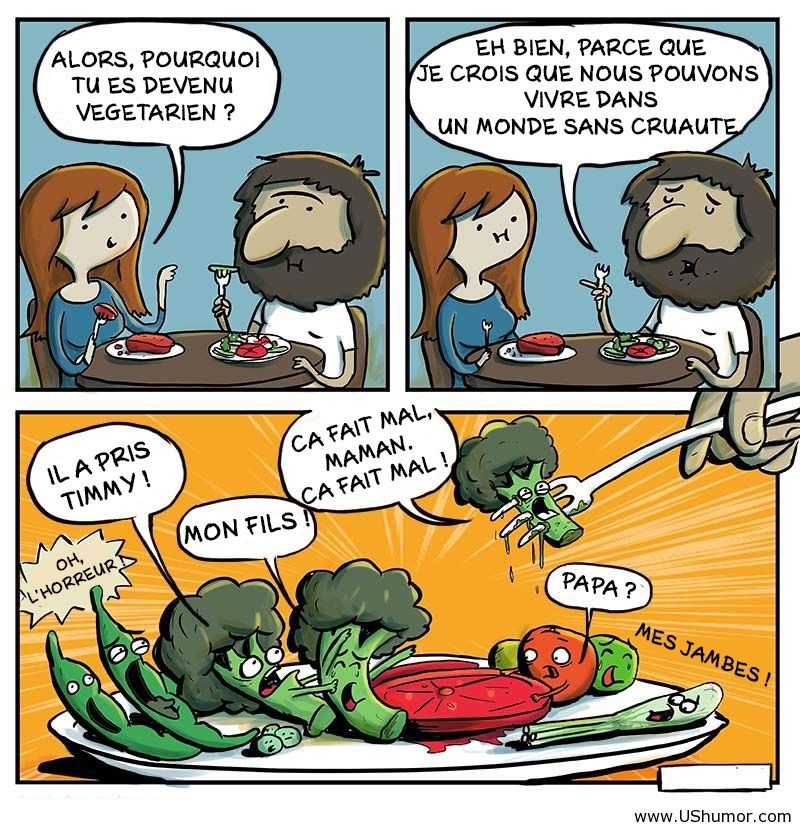 « OH MAIS TU MANGES QUOI ALORS ? C’EST TRISTE… » | So Busy Girls