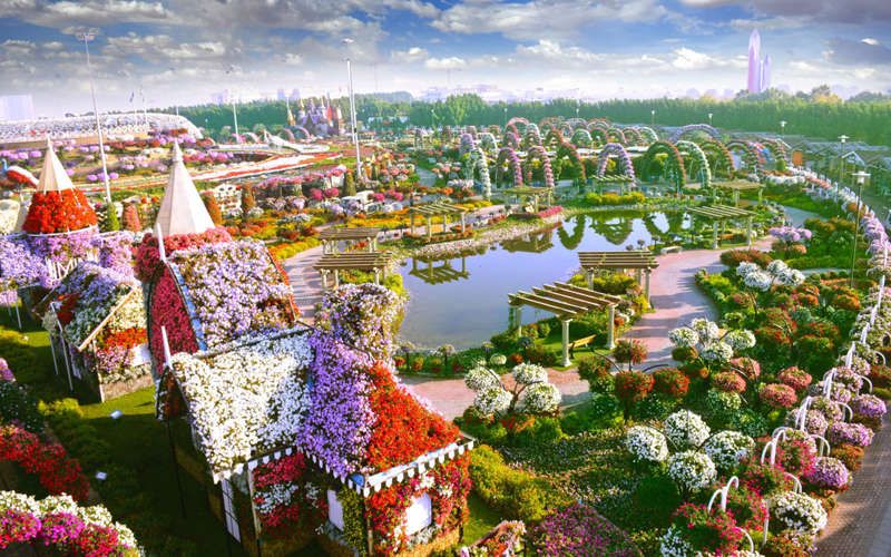 Découvrez le Dubaï Miracle Garden, le plus grand jardin de fleurs du monde ! | So Busy Girls