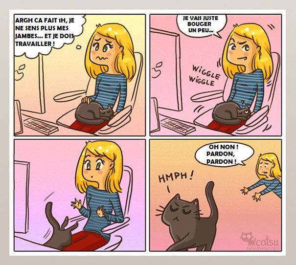 14 illustrations rigolotes qui résument parfaitement la vie avec un chat | So Busy Girls