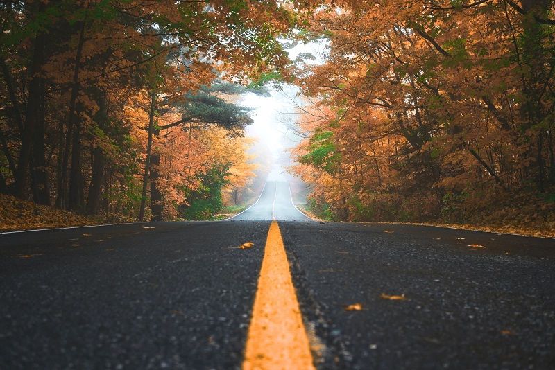Partir à l’aventure : découverte de l'automne Canadien | So Busy Girls
