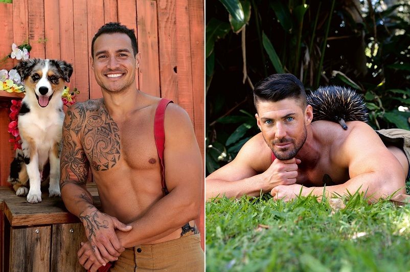 Les pompiers australiens posent avec des animaux pour un calendrier 2021 caritatif et vraiment sexy | So Busy Girls