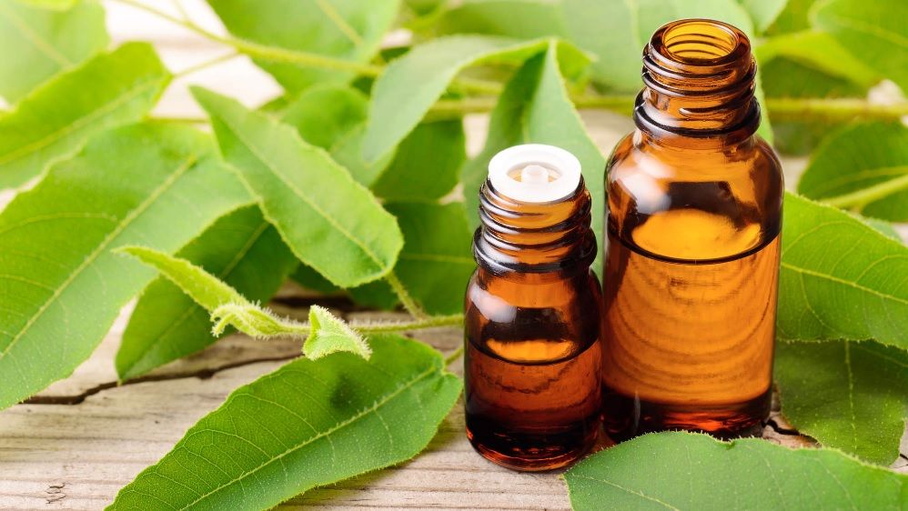 Le répulsif anti moustiques naturel qui marche vraiment ! | So Busy Girls