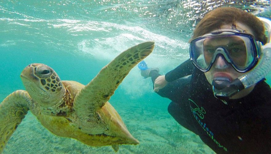 L'homme qui prenait des selfies géniaux avec des animaux | So Busy Girls