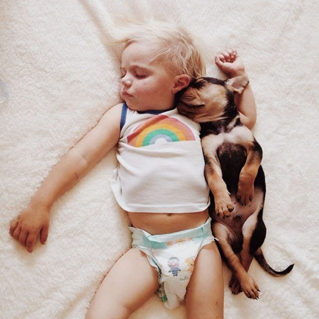 14 photos craquantes qui montrent que les chiens sont plus confortables que des oreillers | So Busy Girls