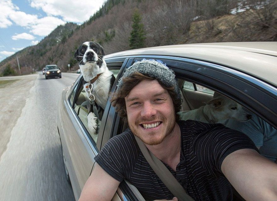 L'homme qui prenait des selfies géniaux avec des animaux | So Busy Girls