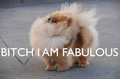 OOOOH JE SUIS TROP BEAUUUU ! | So Busy Girls