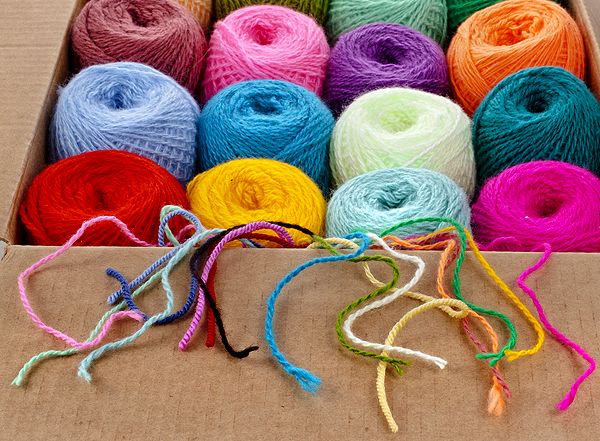 5 choses qui peuvent être très dangereuses ou mortelles pour votre chat | So Busy Girls