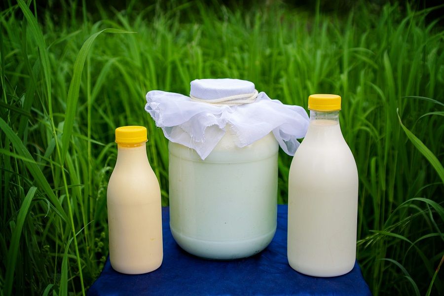 Tout savoir sur les laits fermentés et leurs bienfaits | So Busy Girls