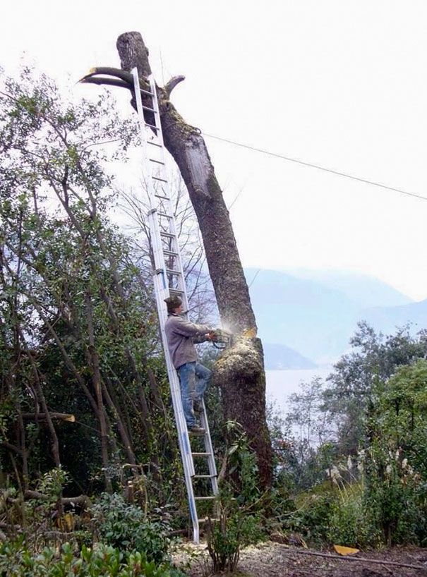 Pourquoi les femmes vivent plus longtemps que les hommes expliqué en 13 photos | So Busy Girls