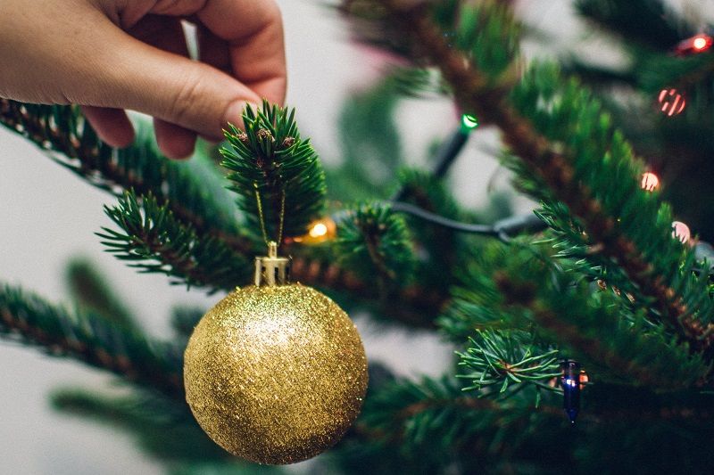 Votre sapin perd ses aiguilles ? Voilà comment le faire durer longtemps | So Busy Girls