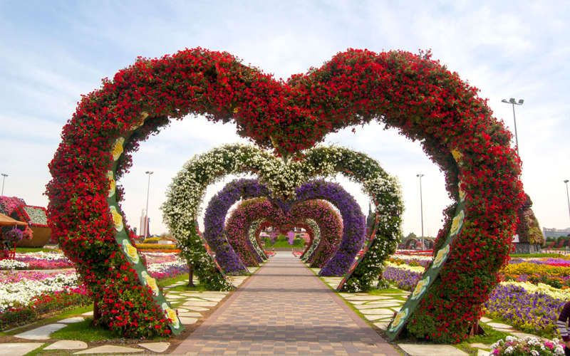 Découvrez le Dubaï Miracle Garden, le plus grand jardin de fleurs du monde ! | So Busy Girls