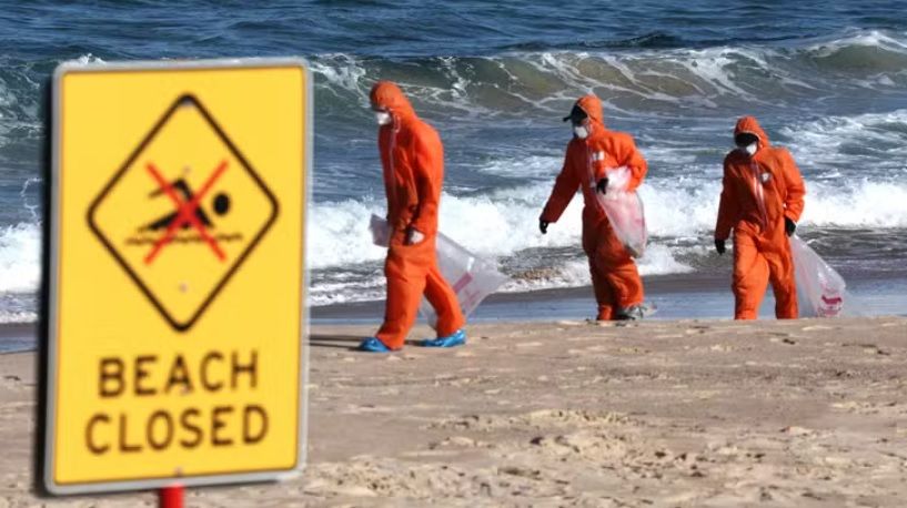 Australie : de mystérieuses boules échouées sur les plages inquiètent les autorités | So Busy Girls