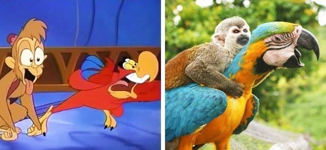 Abu et Iago (Aladdin) | So Busy Girls