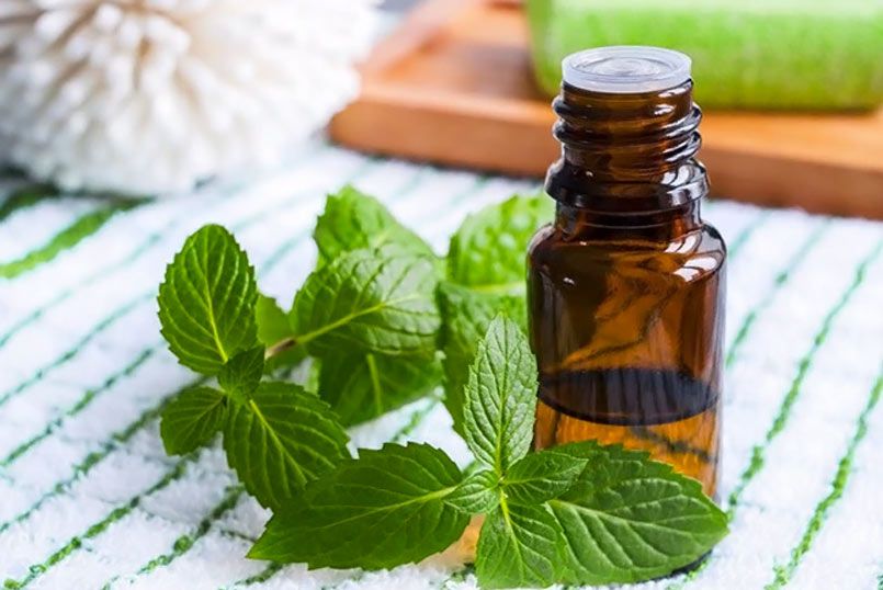 Voici l’huile essentielle idéale pour améliorer votre concentration et être plus productif | So Busy Girls