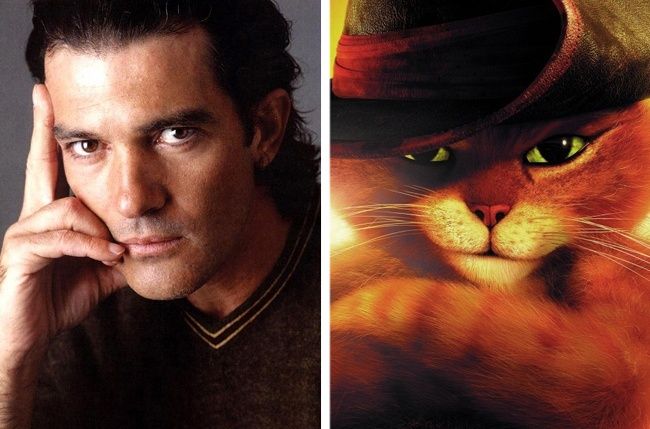Antonio Banderas — Le Chat Potté | So Busy Girls