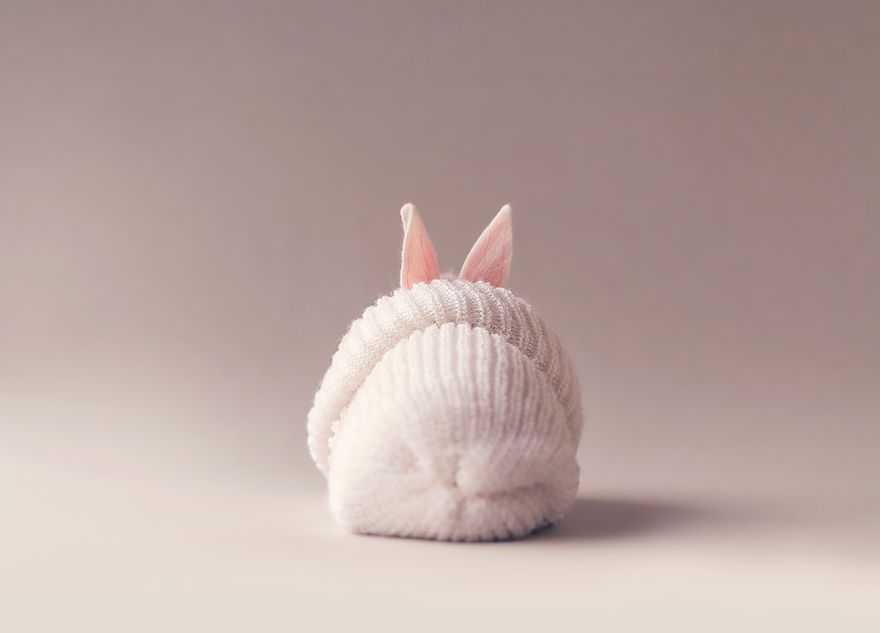 Ce bébé lapin est tellement mignon que vous allez vouloir le même ! | So Busy Girls