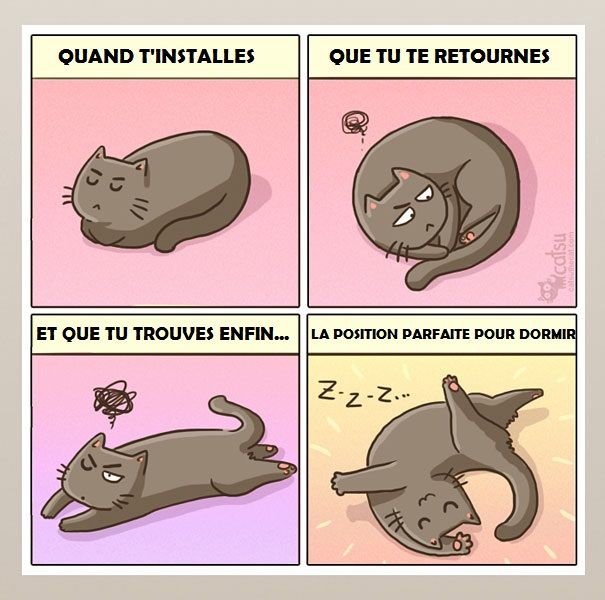 14 illustrations rigolotes qui résument parfaitement la vie avec un chat | So Busy Girls