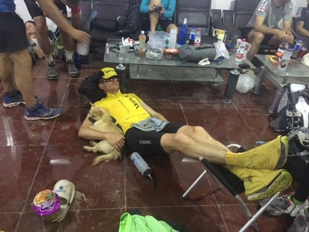 Un petit chien errant rejoint ce marathonien, court 100km avec lui et finit la course avec son nouveau maître ! | So Busy Girls