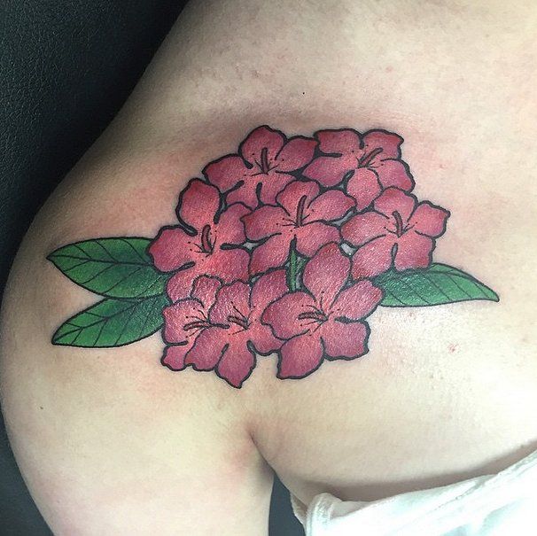 Des Rhododendrons rouges | So Busy Girls