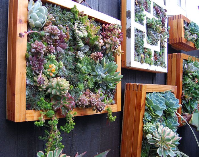 Un mur de plantes vertical | So Busy Girls