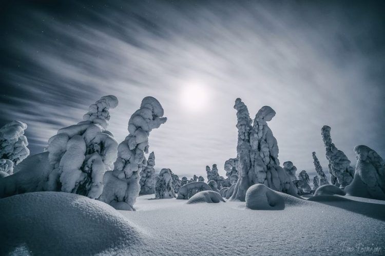 15 photos qui montrent que la Laponie est l’endroit le plus magique pour fêter Noël | So Busy Girls