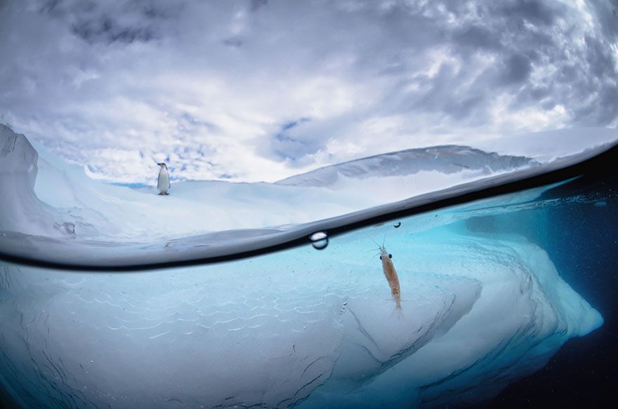 22 sublimes photos prises entre deux mondes | So Busy Girls