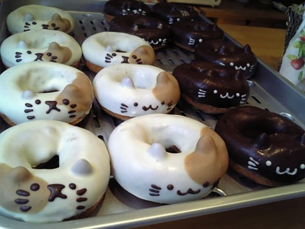 Des chats beignets : vous êtes plutôt doughnuts chat blanc ou noir ? | So Busy Girls