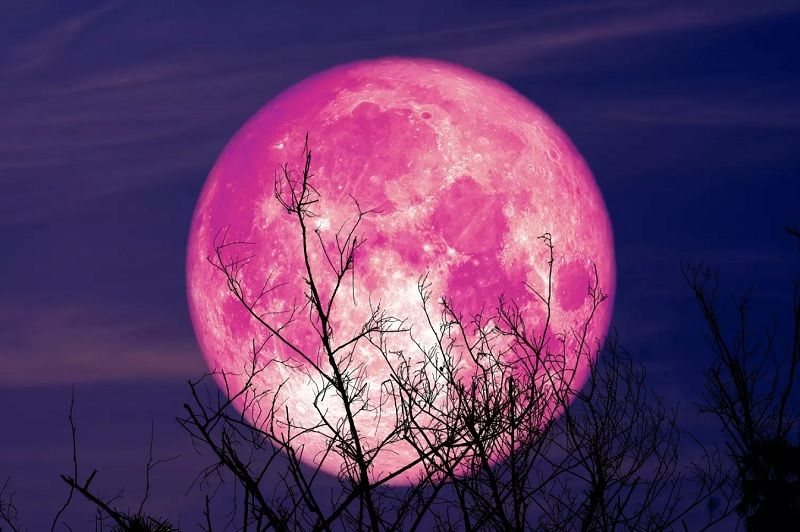 Voici comment vous pourrez observer la Super Lune des Fraises qui aura lieu le 14 juin | So Busy Girls