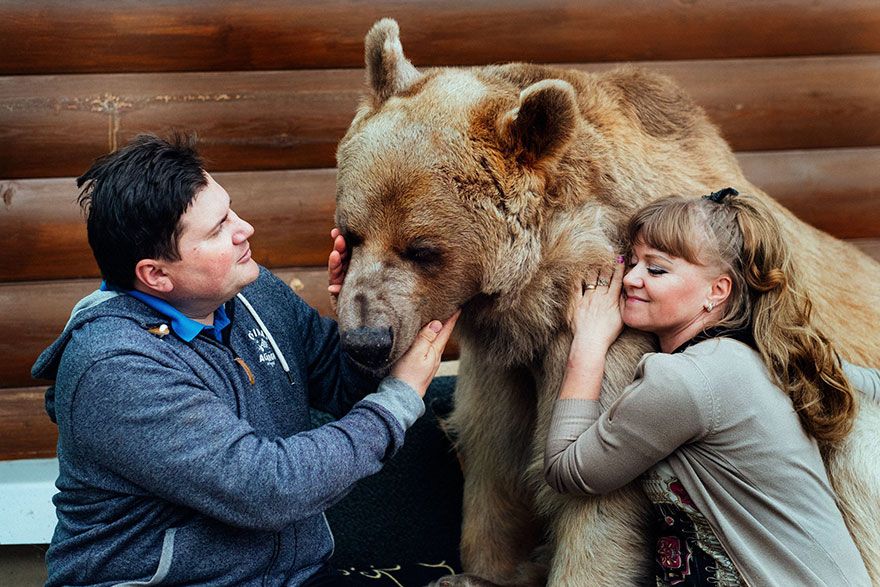 Un couple russe a adopté un ours orphelin il y a 23 ans, et ils vivent toujours tous ensemble ! | So Busy Girls