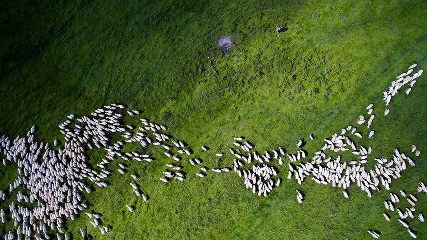 Les 15 plus belles photos prises depuis un drone | So Busy Girls
